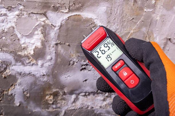 Reliable Washington Park, IL Mold Remediation Solutions
