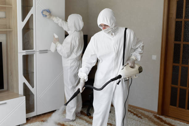 Best Bathroom Mold Remediation in Washington Park, IL