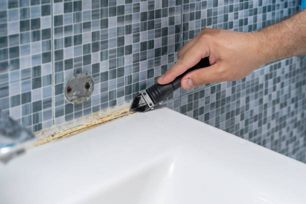 Best Mold Remediation for Specific Building Types in Washington Park, IL