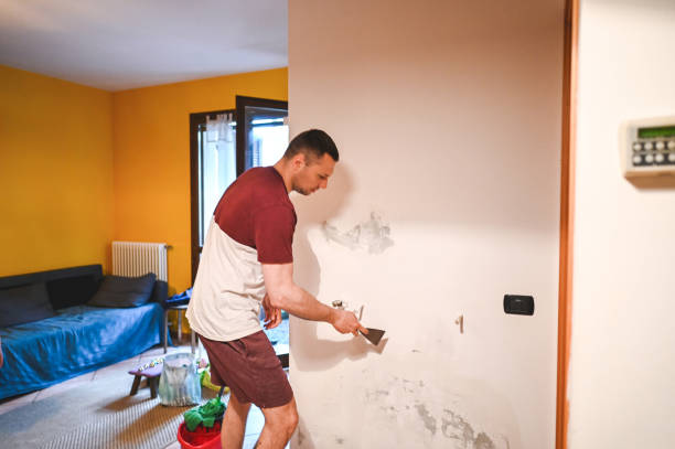 Best HVAC Mold Remediation in Washington Park, IL
